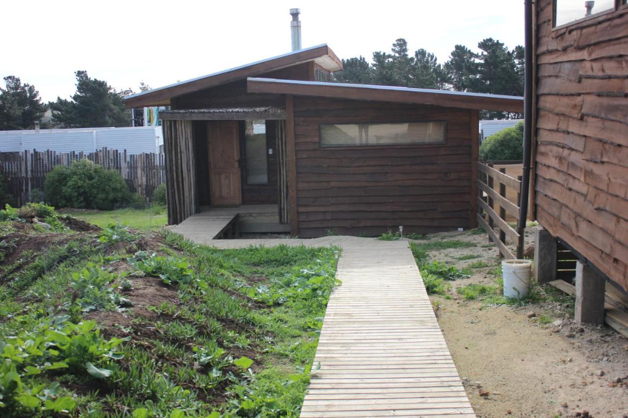 Cabanas Grulla Pichilemu Bagian luar foto