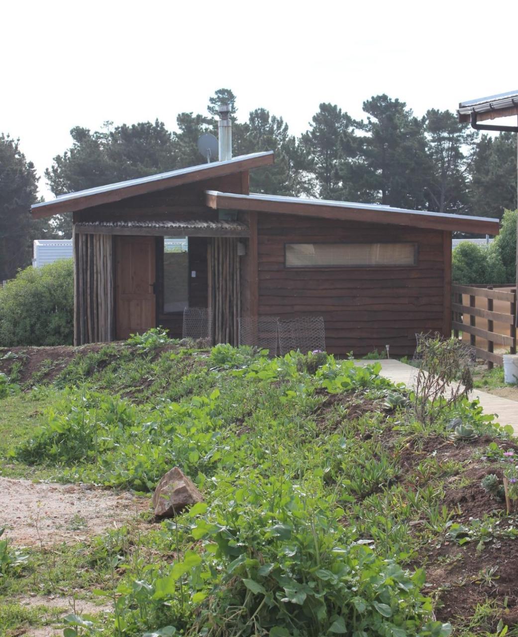 Cabanas Grulla Pichilemu Bagian luar foto