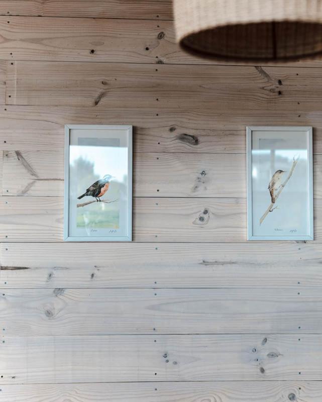 Cabanas Grulla Pichilemu Bagian luar foto